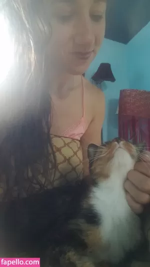 katcalico thumbnail #4537240