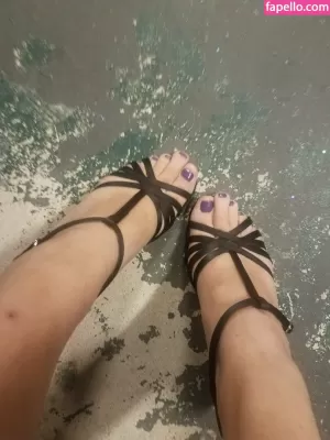 katcalico thumbnail #4537236