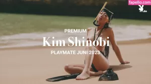 kim-shinobi thumbnail #4010944