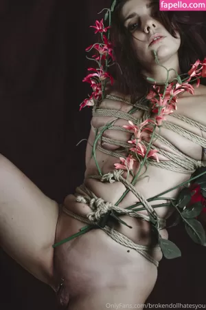 lauretta thumbnail #805749