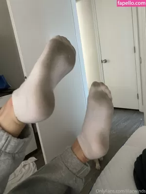 lilacwinds thumbnail #3636395