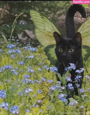 lolykoi thumbnail #3690912