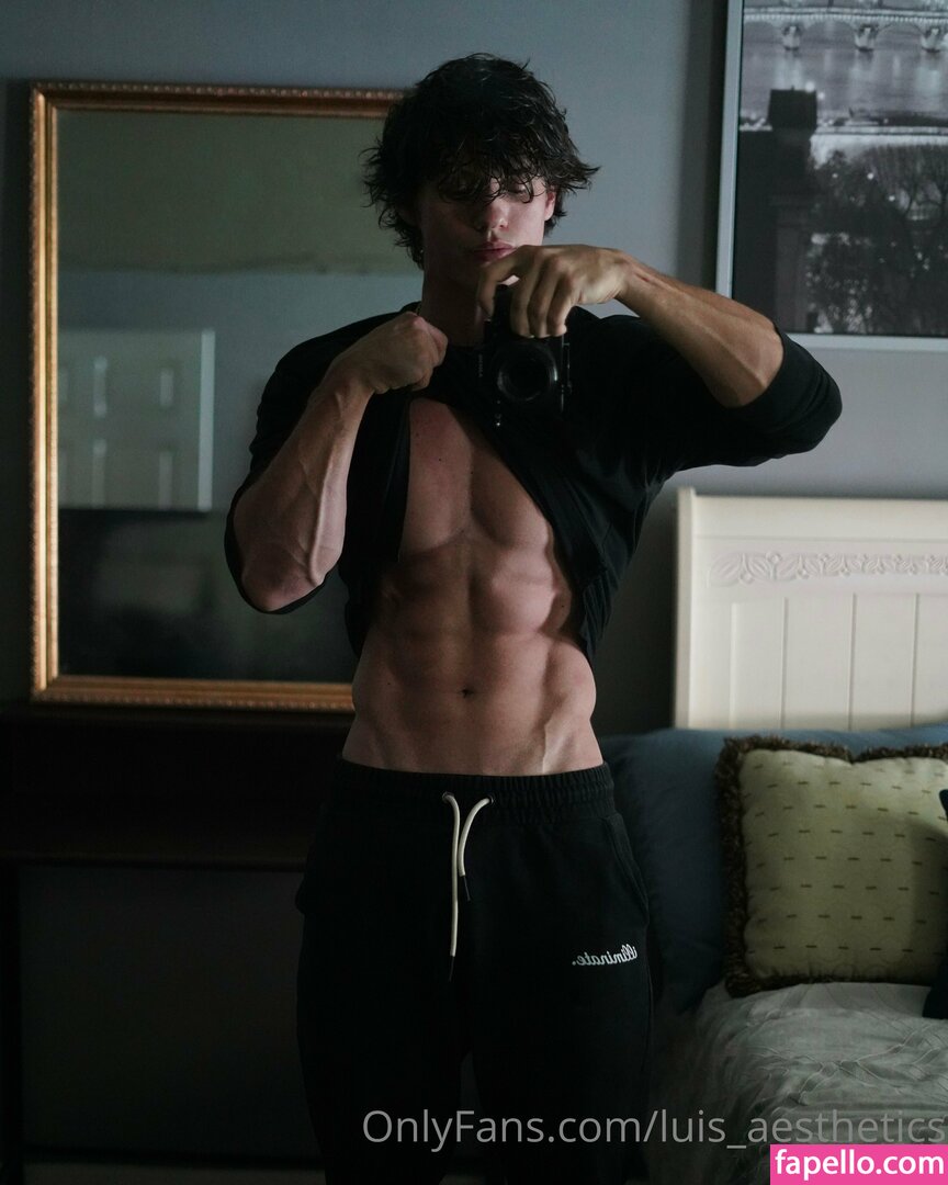 luis_aesthetics-2