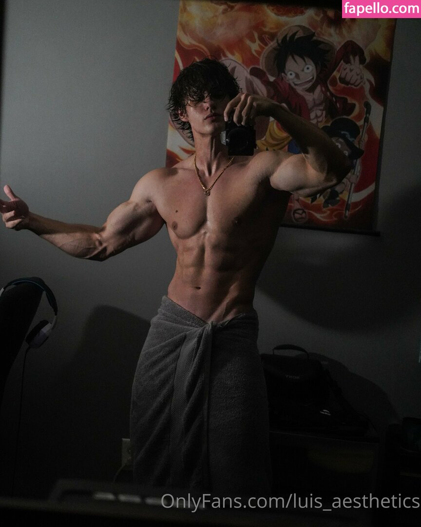 luis_aesthetics-3