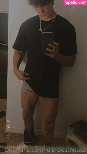 luis-aesthetics thumbnail #3138309