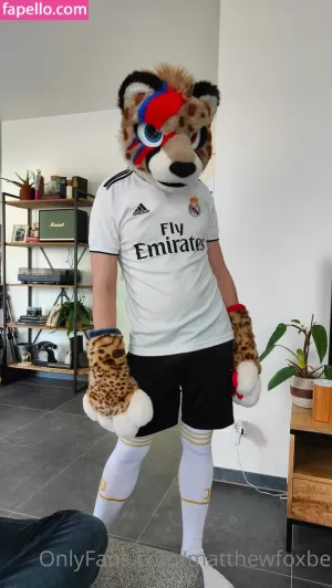 matthewfoxbe thumbnail #4376404