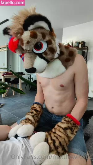 matthewfoxbe thumbnail #4376403