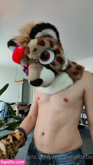 matthewfoxbe thumbnail #4376402