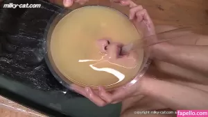 milky-cat thumbnail #2079257