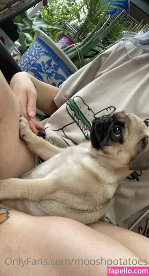 mooshpotatoes thumbnail #3674945