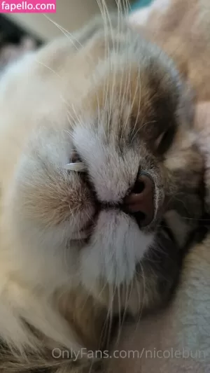 nicolebun thumbnail #57505