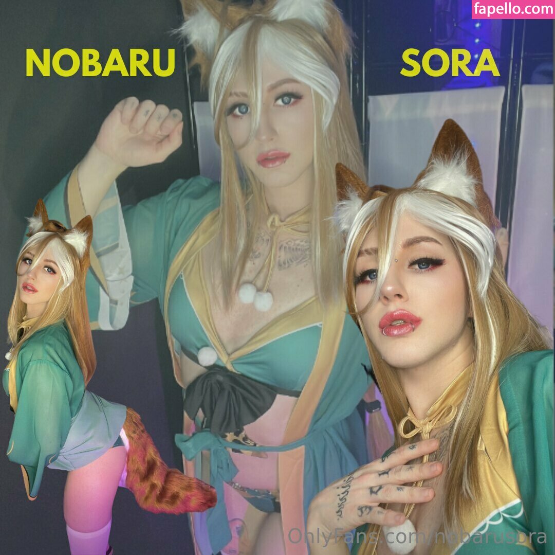 nobarusora-3