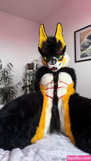 novaxcat thumbnail #6037055