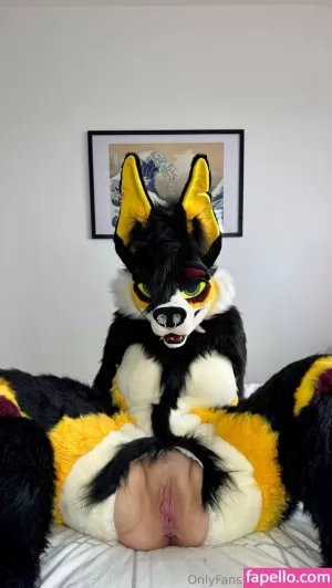 novaxcat thumbnail #6037049