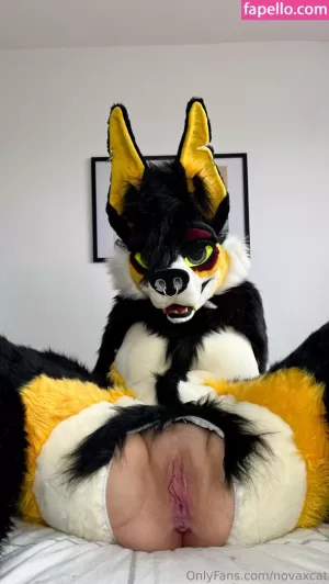 novaxcat thumbnail #6037048