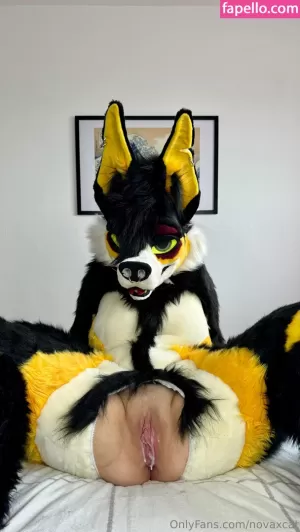 novaxcat thumbnail #6037047