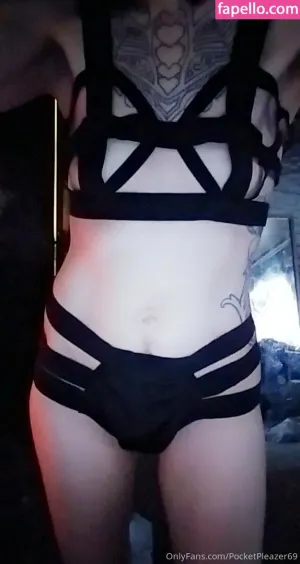 pocketpleazer thumbnail #5075972