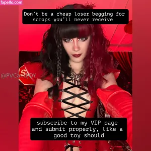 pvcandjoy thumbnail #6270548