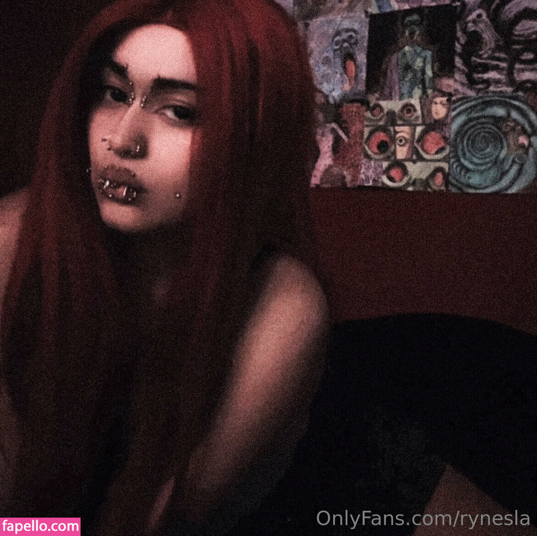 rynesla-3