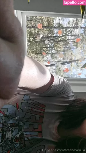 safehaven14 thumbnail #6116628