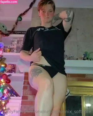 sexmetalphoenix-softcore thumbnail #3140576
