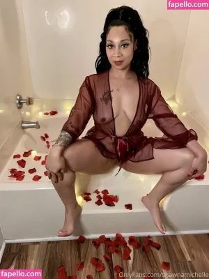 shawnamichelle-1 thumbnail #2239161