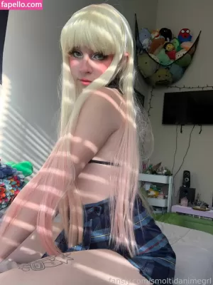 smoltidanimegrl thumbnail #6048380