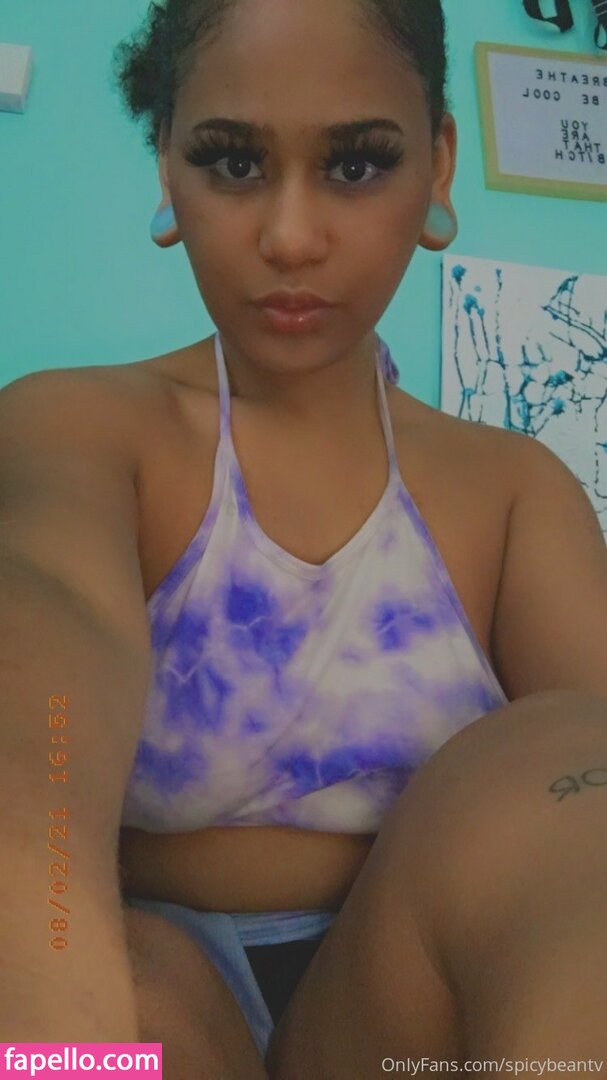 spicybeantv-1