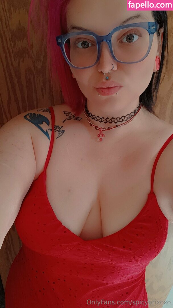spicybrixoxo-2