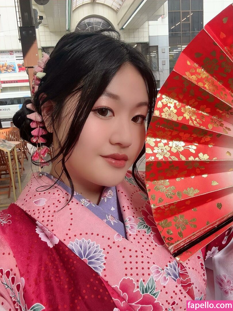 stel.hua-2