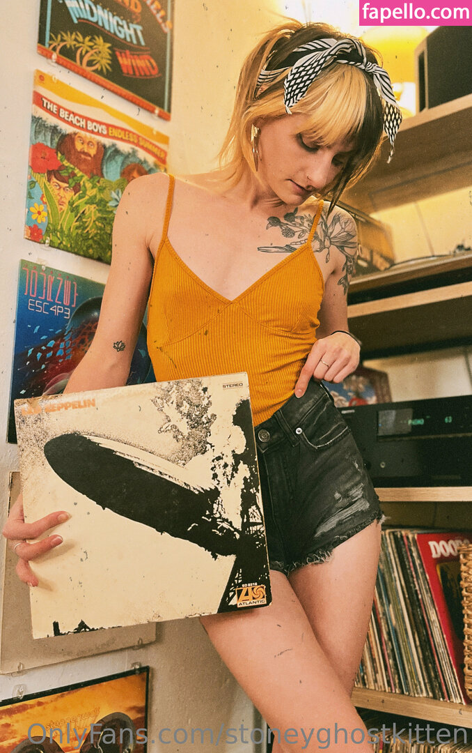 stoneyghostkitten-2