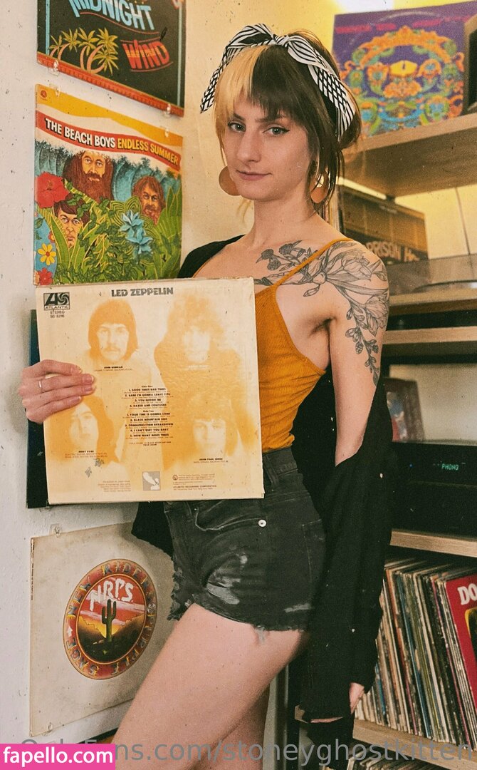 stoneyghostkitten-3