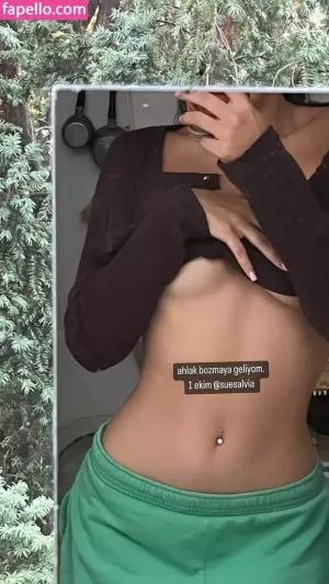 suecuk thumbnail #495108