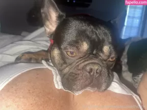 tamara-sue-thorne thumbnail #350984