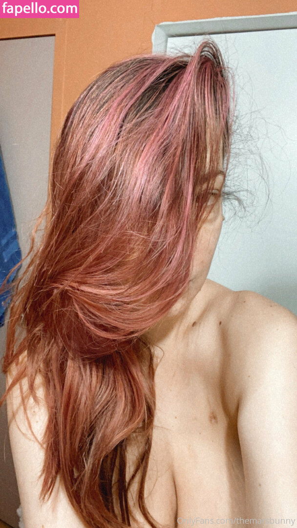 themarsbunny-2