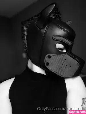 trans-mutt thumbnail #3154567