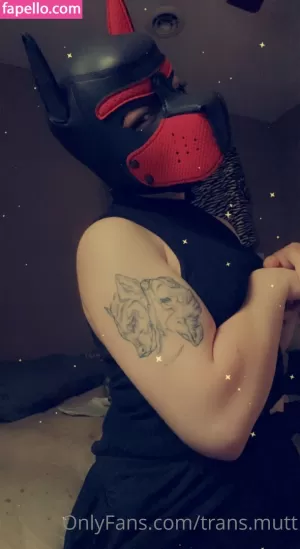 trans-mutt thumbnail #3154565