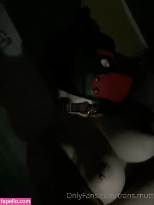 trans-mutt thumbnail #3154564