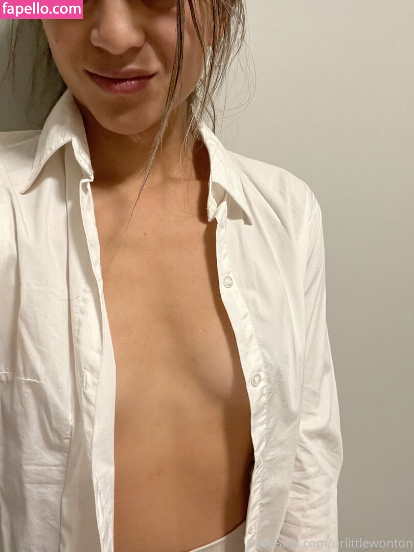 urlittlewonton-2