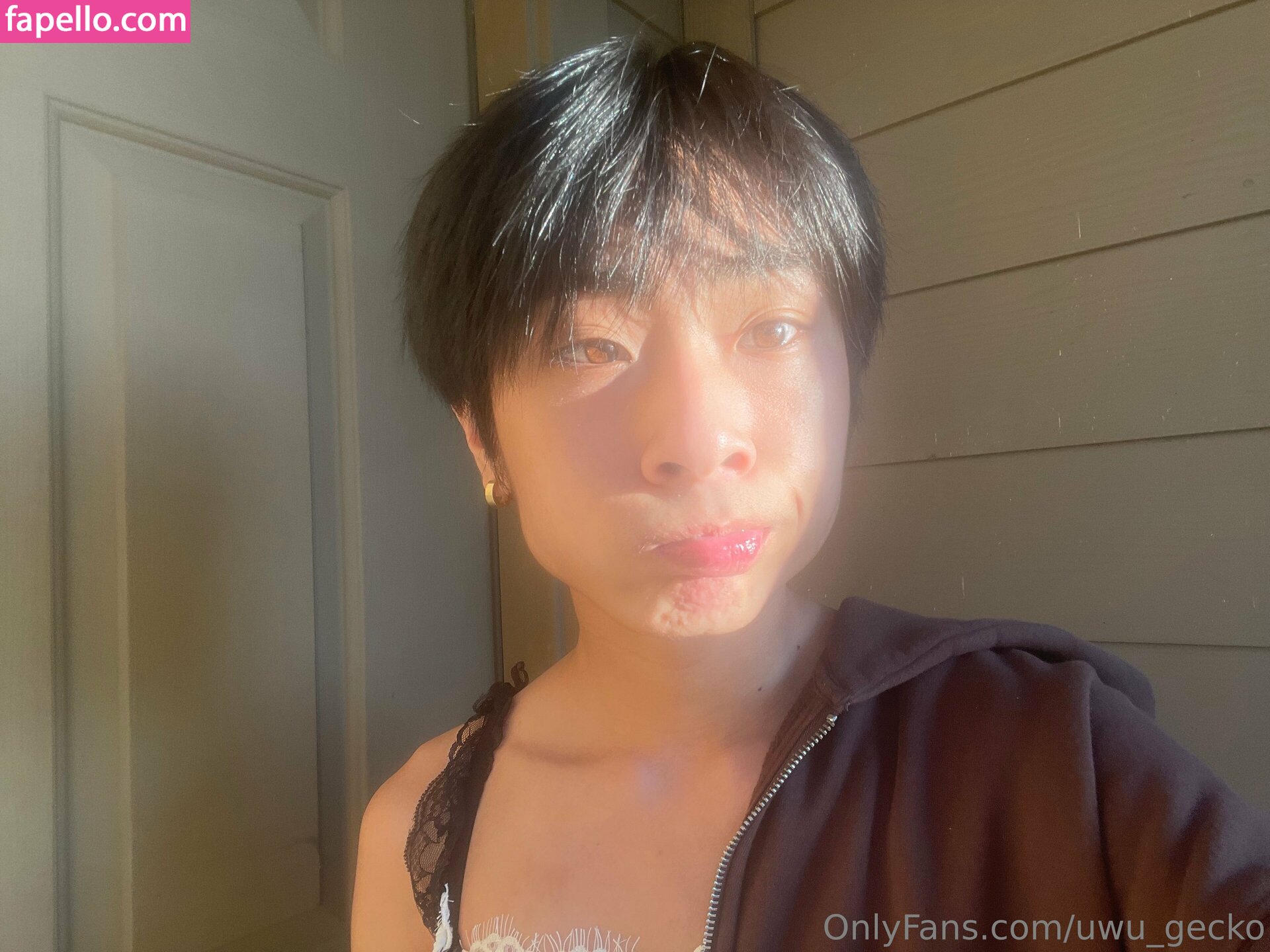 uwu_gecko-2