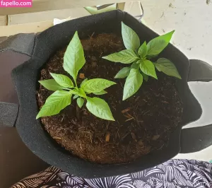 veronikaplants thumbnail #4572446