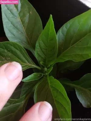 veronikaplants thumbnail #4572445