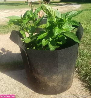 veronikaplants thumbnail #4572441