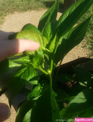 veronikaplants thumbnail #4572440