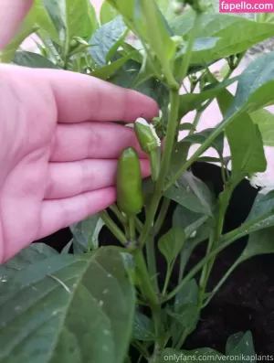 veronikaplants thumbnail #4572437