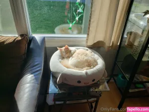 vonkailof thumbnail #6278515