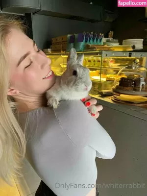 whiterrabbit thumbnail #3853918