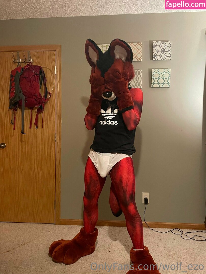 wolf_ezo-3