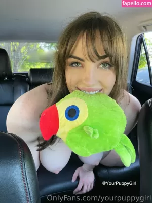 yourpuppygirl-2 thumbnail #3489142