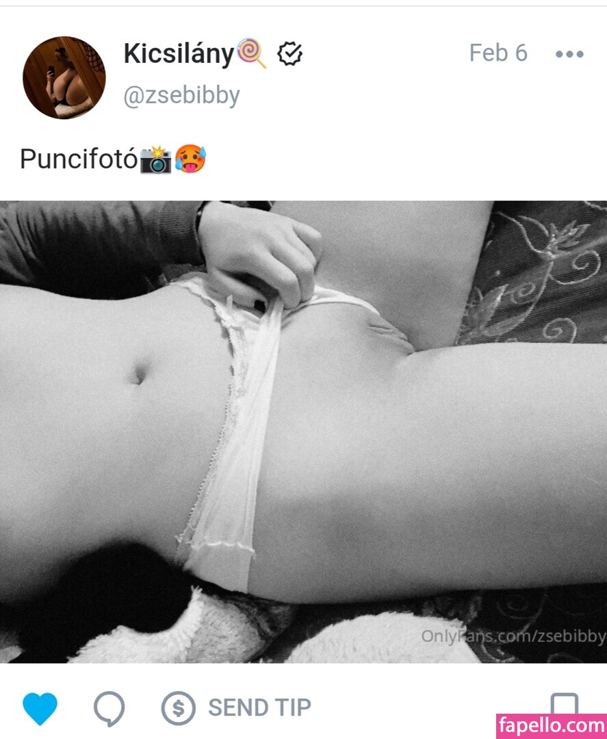 Zsebibaba-2